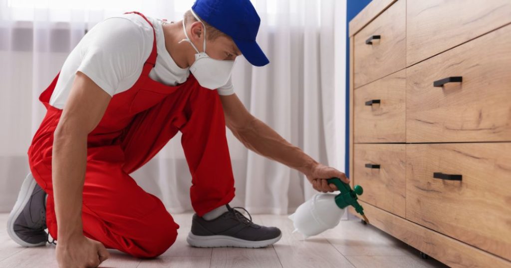 capa dedetizacao em Betim